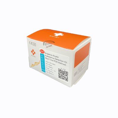 China FAM Fluorescent Aquaculture RT PCR Test Kit Siniperca Chuatsi Rhabdovirus SCRV for sale
