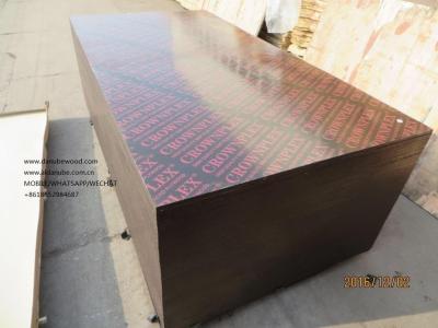 China CROWNPLEX brand film faced plywood,poplar core.Brown film faced Plywood.18mm cheap poplar crown brand film faced plyw for sale