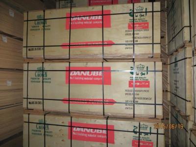 China chinese ash veneered plywood for sale