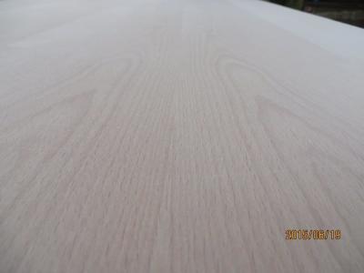 China Europe beech veneered plywood.Decorative plywood. veneered plywood.tropical hardwood core for sale