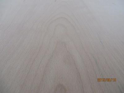 China Europe beech veneered plywood.Decorative plywood. veneered plywood.tropical hardwood core for sale