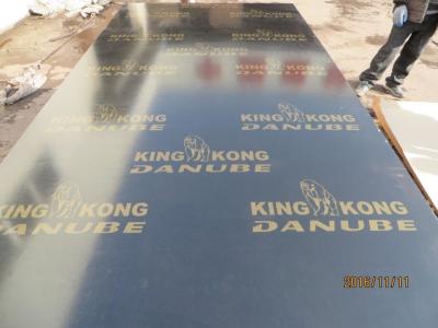 China Black film faced plywood with logo, black faced shuttering plywood, black film faced formwork plywood for sale