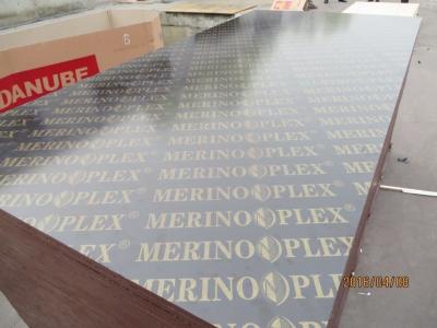China MERINOPLEX FILM FACED PLYWOOD, building construction plywood.form work.made in china. for sale