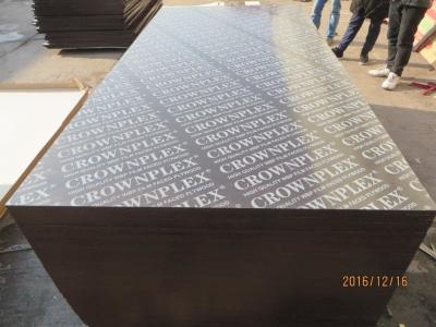 China CROWNPLEX brand film faced plywood,poplar core.Brown film faced Plywood.18mm cheap poplar crown brand film faced plyw for sale