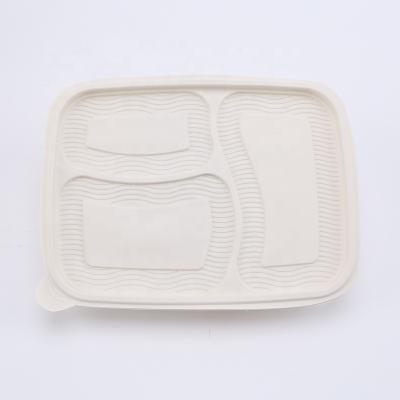 China 3 Compartment 900ml Disposable Biodegradable Food Container for sale