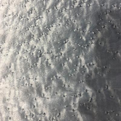 China Tintura de Olho de pássaro Folha de revestimento de bordo de madeira contraplacada Resistente à umidade à venda