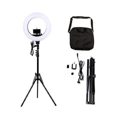 China 12INCH Makeup 3200-5600K Photography 180 LED beads Selfie Portable Flash Camera Ring Light for sale