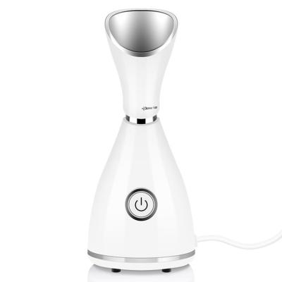 China Lighting Cool Electric Cool Mist Sprayer Intelligent Facial Steamer for sale