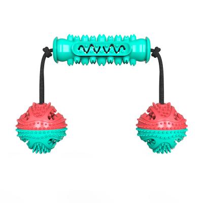 China Pet Dumbbell Toy Ball Dog Serrated Molar Toy Combination Dog Toothbrush Molar Stocked Stick for sale