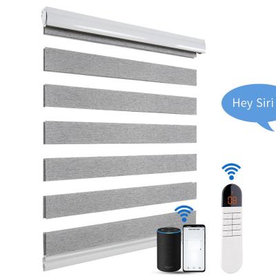 China Electric Motorized Zebra Blinds For Oriel Window Side Installation à venda