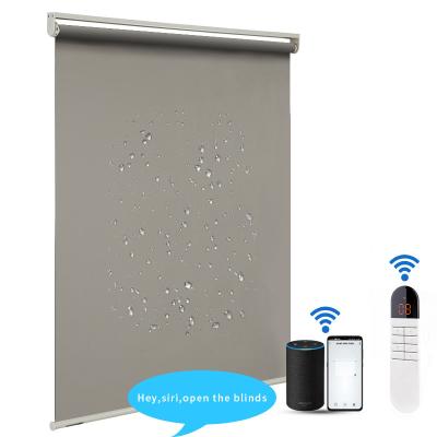 China Window Electric Roller Blinds Wifi Motorized Side Installation à venda
