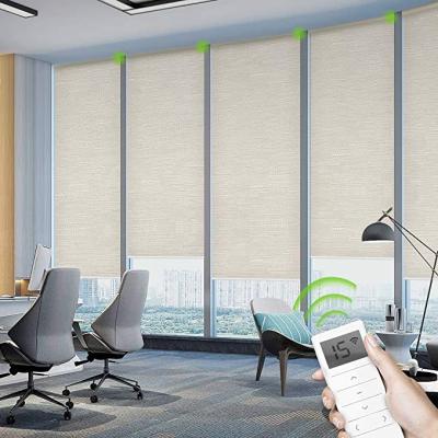 China Tubular Motor Smart Roller Blinds Electric Blackout Shades Chain Control à venda