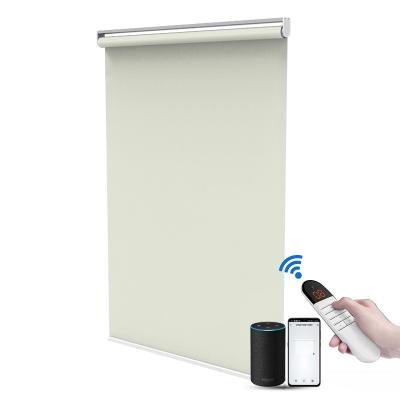 China Contemporary Motorized Roller Blinds Automatic Kitchen Roller Blinds à venda