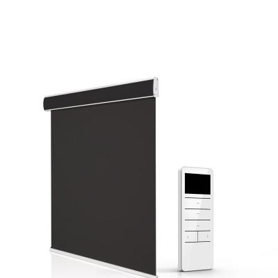 China Customizable Motorized Roller Blinds Rechargeable Lithium Battery Remote Control à venda