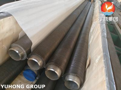 China Hochfrequente Schweißflossenröhre für Abwärmerückgewinnungssystem TP347H zu verkaufen