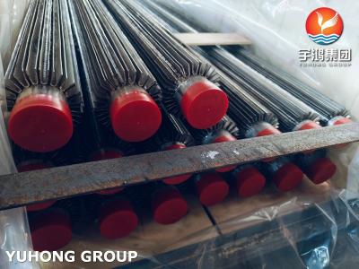 China TP316L ASTM A213 Längsflossener Rohr mit SS316L Flossen für Ölkühlgeräte zu verkaufen