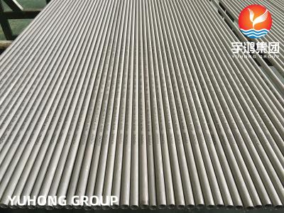 Chine Tubes d'échangeur de chaleur sans soudure en acier inoxydable ASTM A213 TP316L à vendre