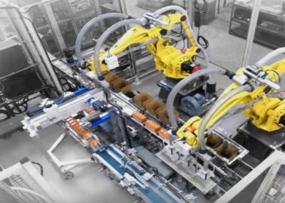 Cina Impacchettatrice del contenitore di cartone/linea completamente automatizzate di incassamento per i detersivi e pulire in vendita