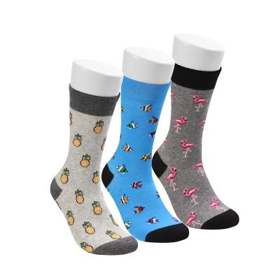 China QUICK DRY 3 Pairs Set Comfortable Breathable Cotton Men's Organic Medium Tube Socks Socks For Men for sale