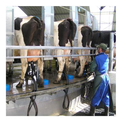 China Farms 12 16 20 24 48 goat goat milking machines at cow sheep position for sale