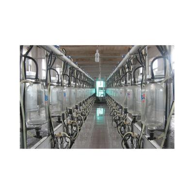 China Farms 12 16 20 24 48 Position Cow Sheep Goat Milk Machine Sheep for sale
