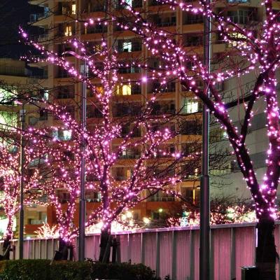 China Amazon Hot Sales Indoor Garden Christmas Outdoor Tree Decorations Solar Led String Lights for sale
