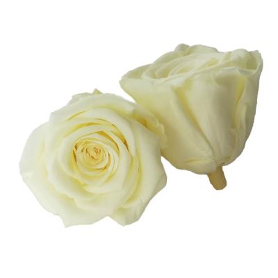 China Wedding Party 2020 New Style Preserved Rose Heads Long Lasting Flowers Eternal Rose Head for sale
