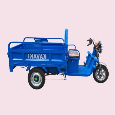 China Max Speed 30km/h Electric Power 3 Wheeler Cargo Bike Bicycle Electric Light Weight Tricycle for sale
