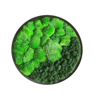 Chine Décoration murale en mousse multicolore pour la Journée de la terre à vendre