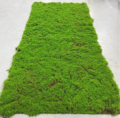 China Flosas de seda verdes Falsificaciones de musgo Césped de césped 1M * 1M Tamaño para decoración del paisaje en el hogar en venta