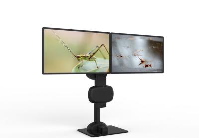 China Electric Lifting Rotating Dual Monitor Mount Arm For Relieve Neck And Back Pain en venta
