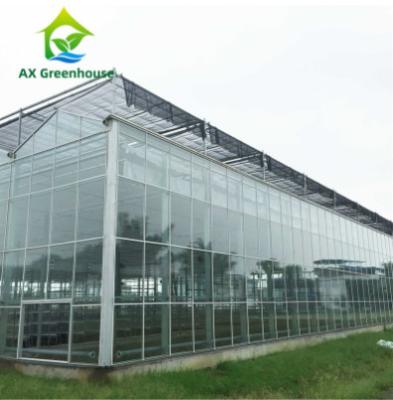 China Automatische Landbouw het Staal Kant en klare Hydroponic Serre van de Glasserre HDG Te koop