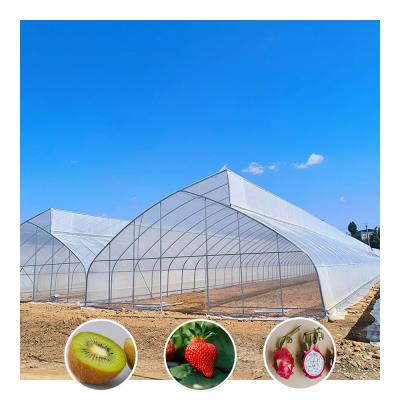 China Single-Span Sawtooth Design Tropical Plastic Film Greenhouse Tunnel Customized for Vegetable Growing for sale