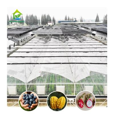 China Hot Galvanized Steel Structure Multi-Span Plastic Film Custom Greenhouse with Tropical Top Ventilation Sawtooth Design for sale