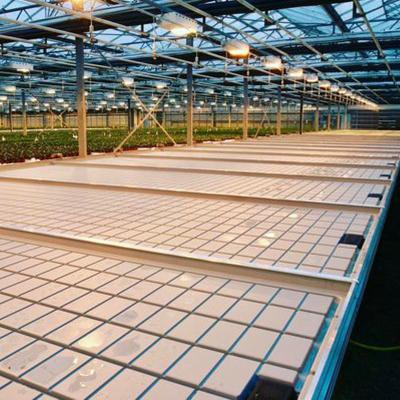 China Warm te verkopen Hydroponic Abs Trays Ebb And Flood kas rollende banken groei tafel Te koop