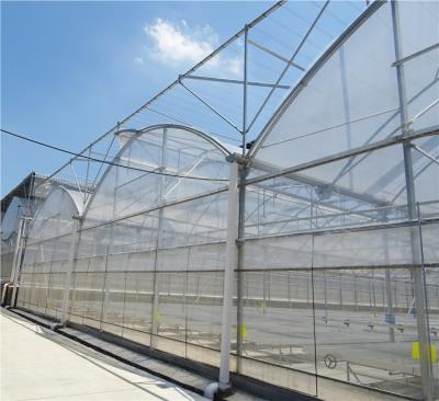 China Agricultura moderna Agricultura poli-túnel Filtro de plástico Estufas de tomate à venda