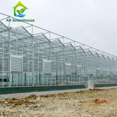 China 3.0m tot 8.0m Serre van het Goot de Venlo Aangemaakte Glas voor Bloemen Te koop