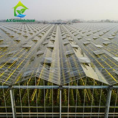 China De geïsoleerde Automatische Landbouw Commerciële Kant en klare Hydroponic Serre van de Glasserre Te koop