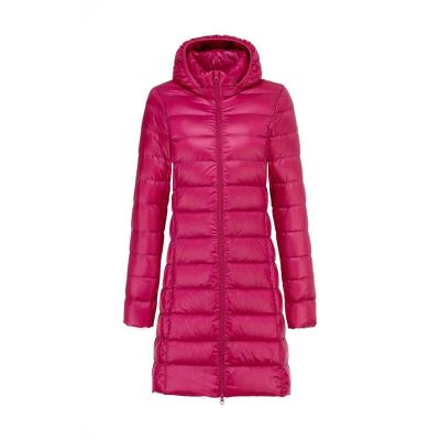 China 2021 Winter Women's Casual Light Down Basic Warm Jackets Comfortable Slim Fit Women's Jacket Nylon Coats Women's Casual Hoodie Coats for sale