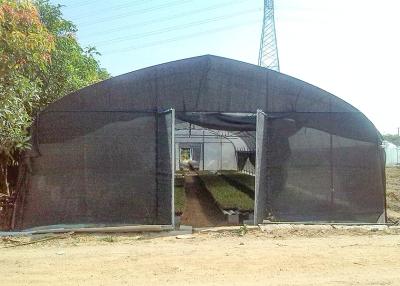 China Polytunnel Single Tunnel Greenhouse Mushroom for sale