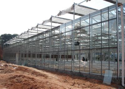 China Transparent, Easy-Assemble Galvanized VENLO Greenhouses For Efficient High-Value Agriculture for sale