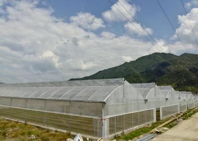Cina Grande serra galvanizzata a caldo con copertura di plastica UV-resistente in vendita