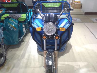 中国 乗客48V 650Wの後部箱が付いている電力の三輪車の青 販売のため