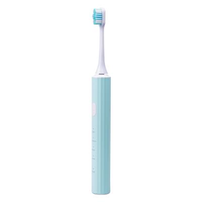 China Household Soft Bristle Kangyu Sonic Toothbrush Powerful Whitening Cleaning Battery Powered Electric Toothbrush for sale