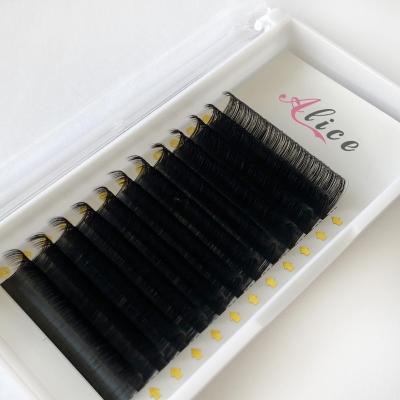 China Natural Long Eyelash Provider Create Your Own Classic Lash Extensions 0.15mm Volume Eyelashes for sale