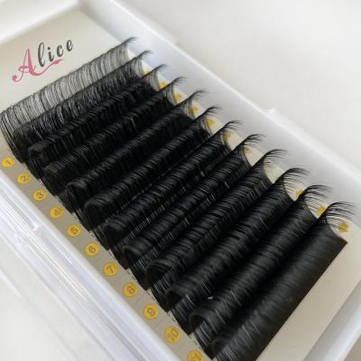 China Natural Long Siberian Mink Individual False Eyelashes Lashes Extensions for sale