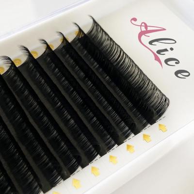 China Natural Long Lashes Mega Volume Fans 2D 3D 4D 5D 6D 7D 8D 9D 10D 0.03 0.05 0.07mm Private Label Eyelashes Extensions 2D for sale