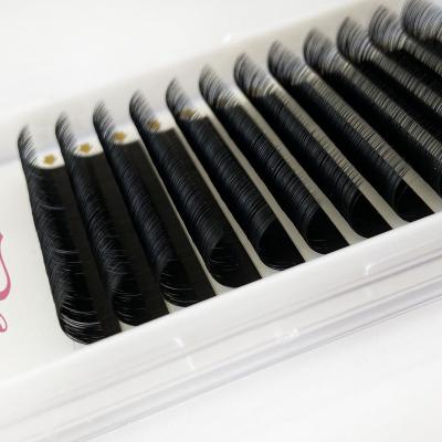 China 2019 New Arrival Natural Long Factory Russian Wholesale Volume Lashes Extensions Individual Private Label Custom Eyelash Packaging for sale