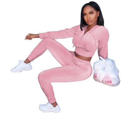 China 2021 Wholesale Breathable Clothing Vendor Velvet Hoodie And Pant Women Two Piece Set Clothing for sale