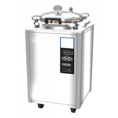 Chine Autoclave à vapeur de type